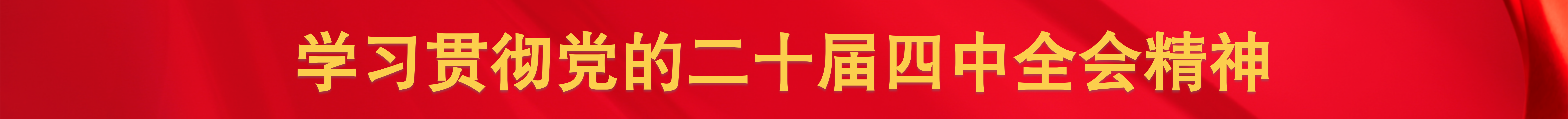 二十届四中全会精神.png